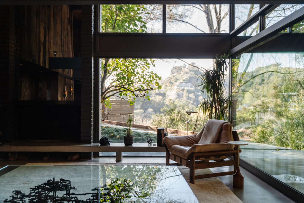 The Ajioka Treehouse Interior and View